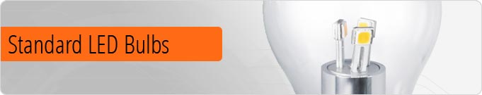 B22 and E27 Led light bulbs  