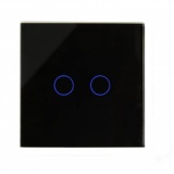Spare RTS2040 panel 2 gang black