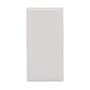 RT Blank Plate (25mmx50mm) White