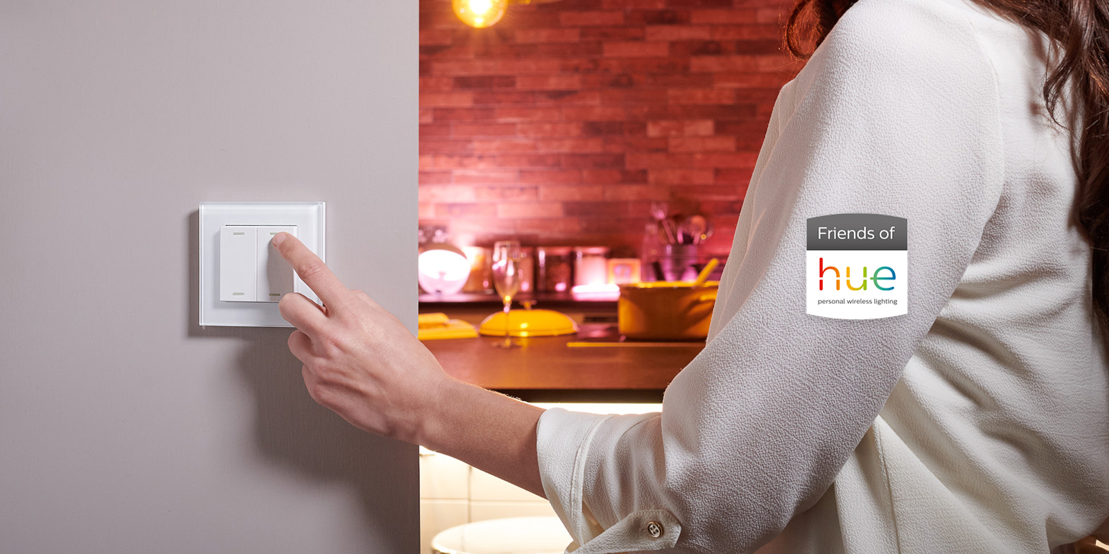 Friends of Hue Smart Switch RetroTouch Designer Light Switches & Plug